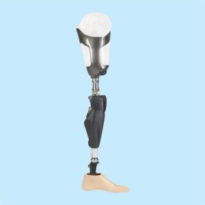 Artificial leg