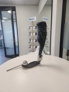 Lower Limb Orthotics